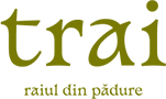 tRAI Logo