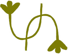 Section Icon