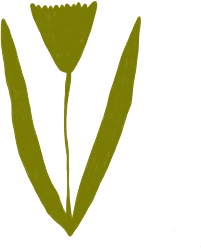 Section Icon