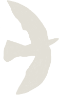 Section Icon